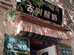-古树酸奶(八廓南街店)