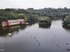 -广州长隆野生动物世界