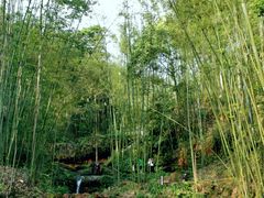 -漫山居私汤民宿全竹宴