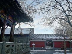 -护国法轮寺
