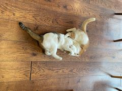 -251#coffee roasters(沿河东路店)