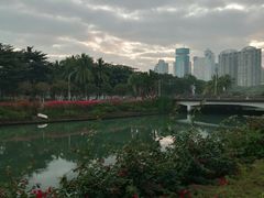 -万绿园