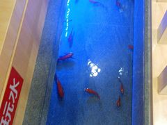 -九田家黑牛烤肉料理(衡百国际店)