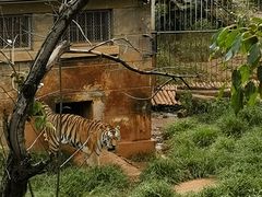-昆明动物园
