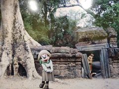 -奥兰多迪士尼动物王国乐园