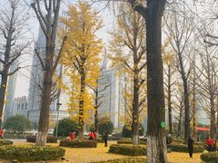 -两江幸福广场