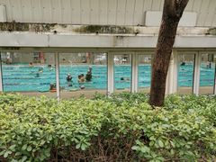 -沈坚强游泳俱乐部(长征分部)