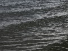 -碧海金沙