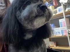 -PETKIT小佩宠物(古北店)