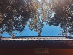 -天台山景区