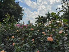 -人民公园(罗湖区)