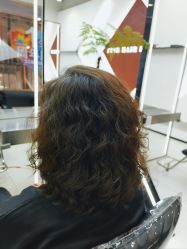 -FINE HAIR 烫染专业设计