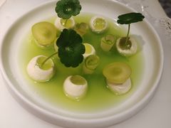 -Tomacado花厨(One ITC店)