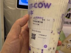 -一只酸奶牛(来福士店)