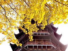 景点-北寺塔