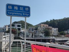 -杨梅坑