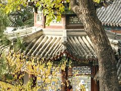 -颐和园