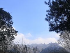 -王顺山国家森林公园