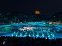 -鼎盛王朝康熙大典实景演出