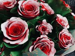 -花生FM_FLOWERS