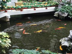 -广州白天鹅宾馆