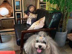 -咖法森林·咖啡  酒吧(天河店)