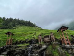 -紫鹊界梯田景区