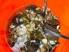 -北海金海湾红树林生态旅游区