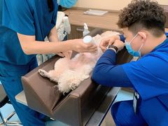 -萌兽医馆·犬猫专科·眼科中心·宠物医院(朝阳门分院)