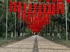 -广西壮族自治区药用植物园