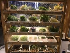 -袁记串串香(梁家巷店)