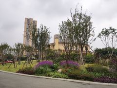 -府河摄影公园