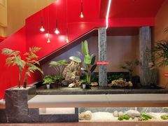 -那家老院子东北菜.饺子.小鸡炖蘑菇(三经街店)