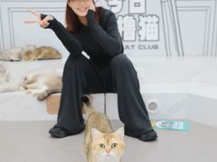 -中集金地美兰城