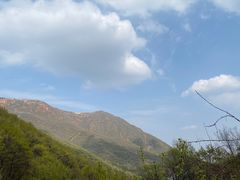 -伏羲山旅游区