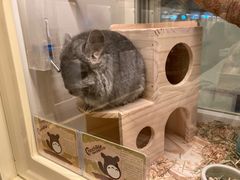 -龙猫仔乐园(惠福东路店)