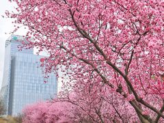-白塘生态植物园
