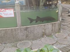 -天怡·鱼工厂(梅溪湖店)