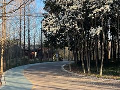 -禹州森林植物园