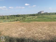 -洪湖湿地生态园