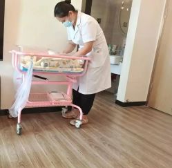 -童谣里医疗级月子中心(独栋湖景店)