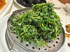 -金春禧(世茂国际广场店)