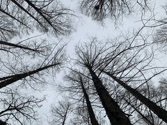 -国家植物园