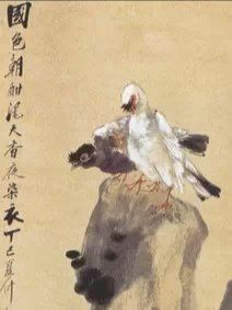 -杨梅红艺术教育(西安高新唐延教学中心)