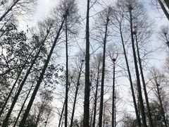 -同里国家湿地公园