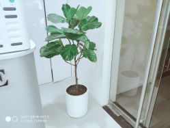 -SalonRivelin 沙龙瑞菱