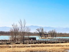 -野鸭湖国家湿地公园