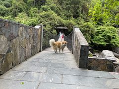 -石台牯牛降景区