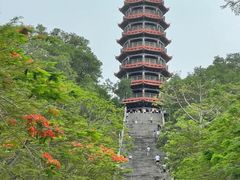 -红花山公园