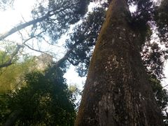 -雁荡山风景名胜区-小龙湫